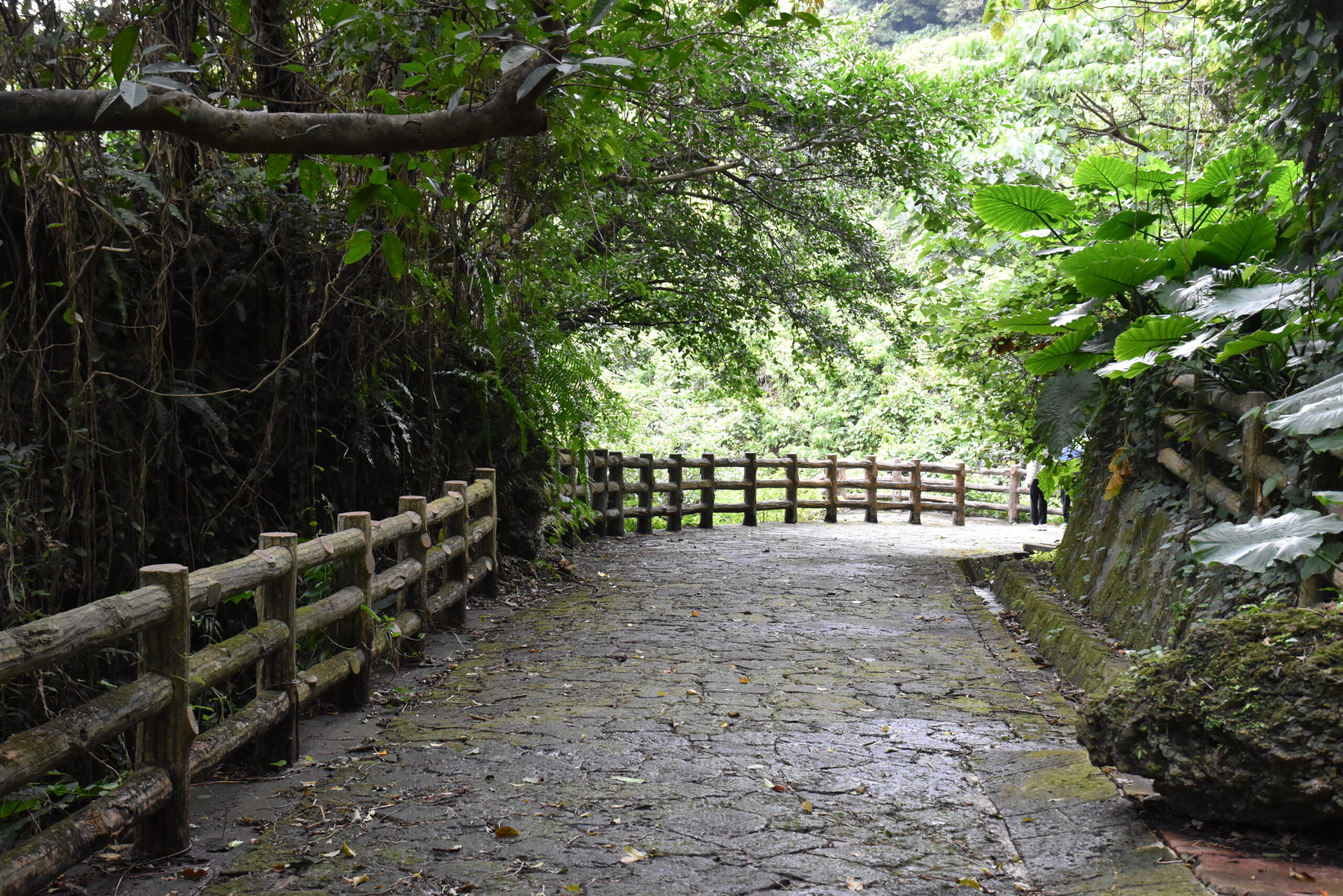 那覇市末吉公園
