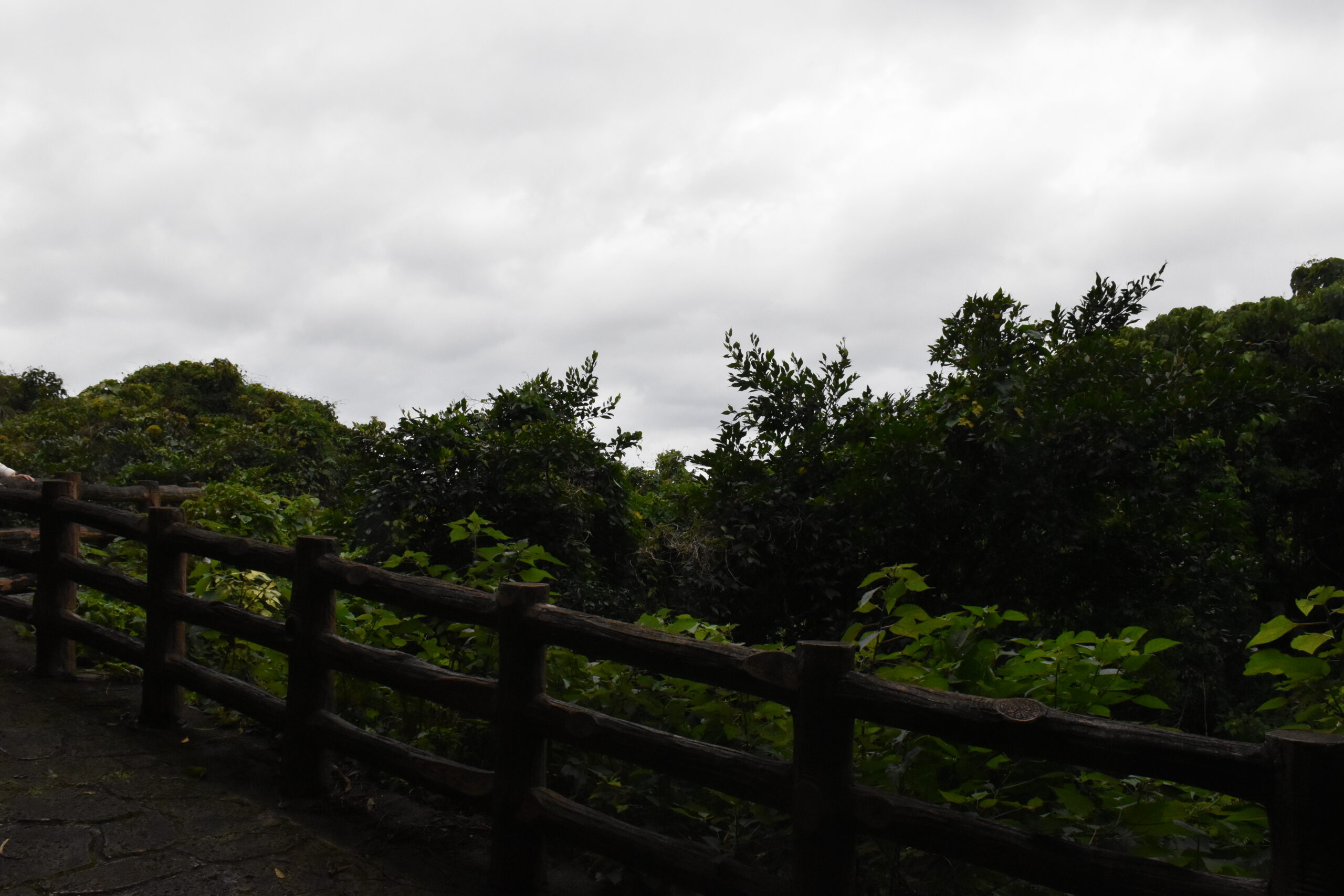 那覇市末吉公園