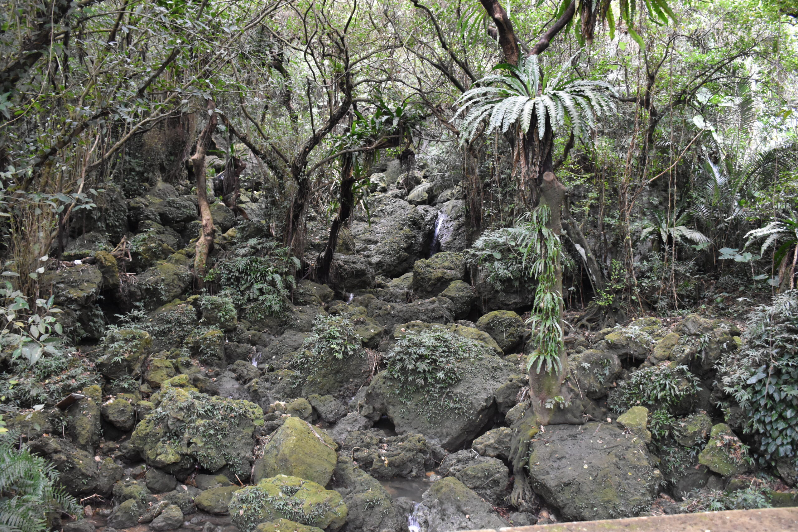 那覇市末吉公園の滝（安謝川上流）